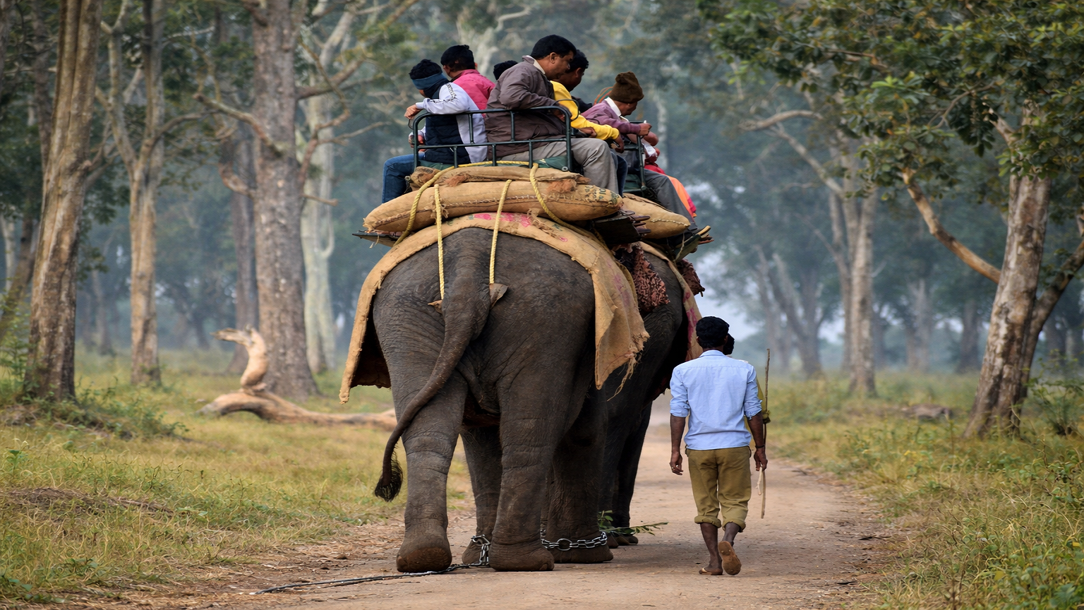 Elephant Ride in Amer Fort Jaipur